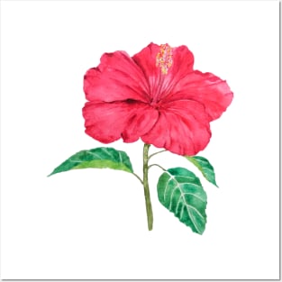 one red hibiscus watercolor painting Posters and Art